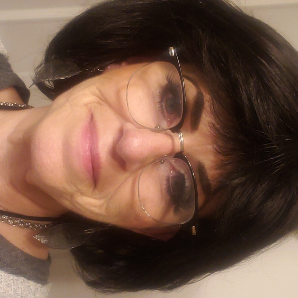 Paula Young Wig Never Worn